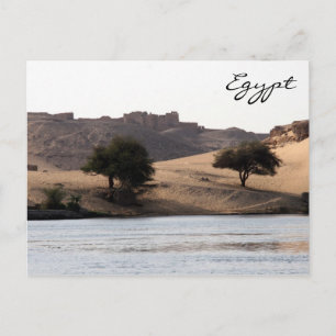 Carte Postale nids