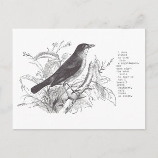 Carte Postale nightingale