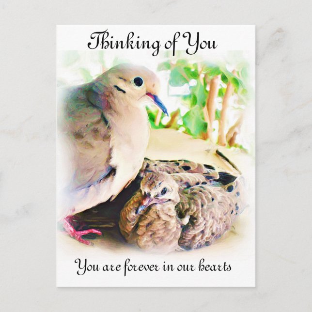 Carte Postale N'importe quelle occasion_ (Devant)