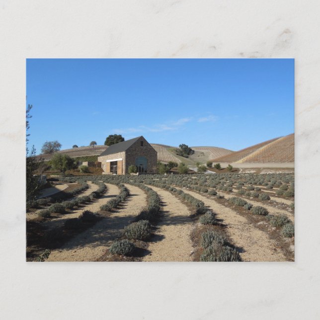 Carte Postale Niner Estates, Paso Robles, CA Event Center (Devant)