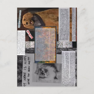 Carte postale Nippy & Rusty : "Art Strike !"; Bolu