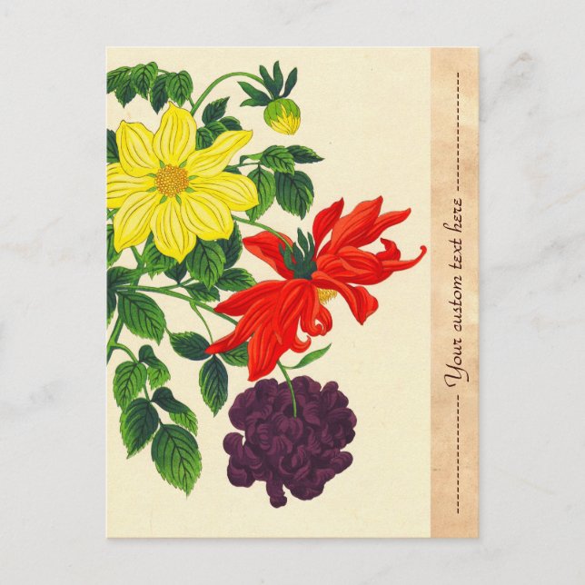 Carte Postale Nishimura Hodo Dahlias fleurs japonaises orientale (Devant)