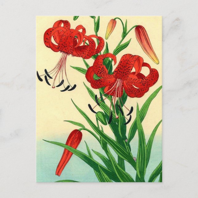 Carte Postale Nishimura Hodo Tiger Lys Shin Hanga Fleurs (Devant)