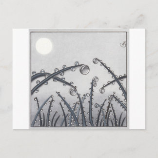 Carte Postale No 33 Morning Dew