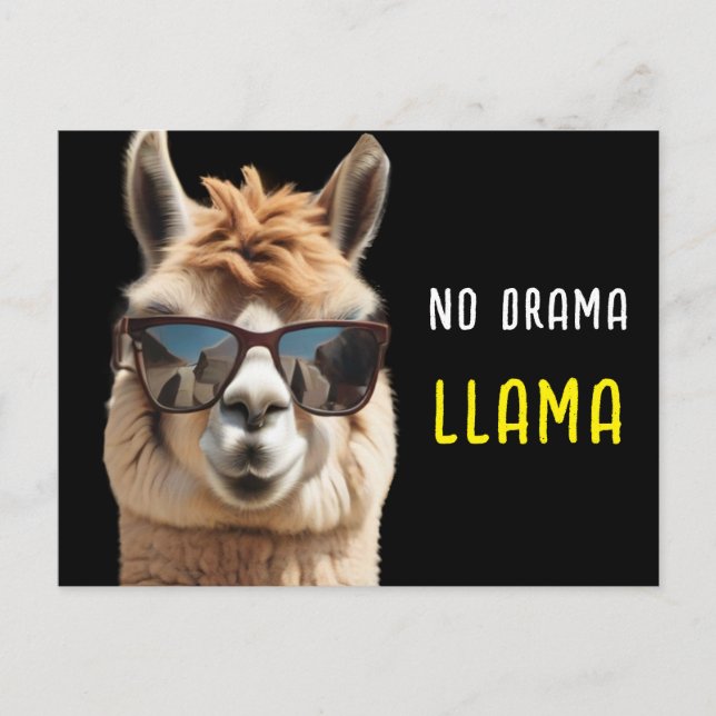 Carte Postale No Drama Llama Cool Alpaca avec lunettes de soleil (Devant)