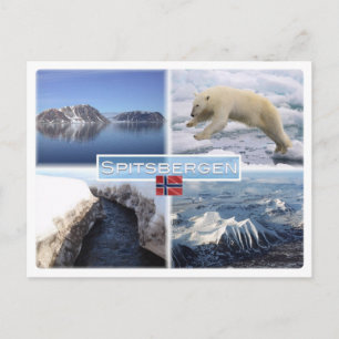 Carte Postale NO Spitsbergen - Svalbard - Fjord - Ours Polaire -
