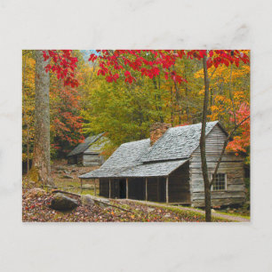 Carte Postale Noah "Bud" Ogle Cabine dans les Smokies