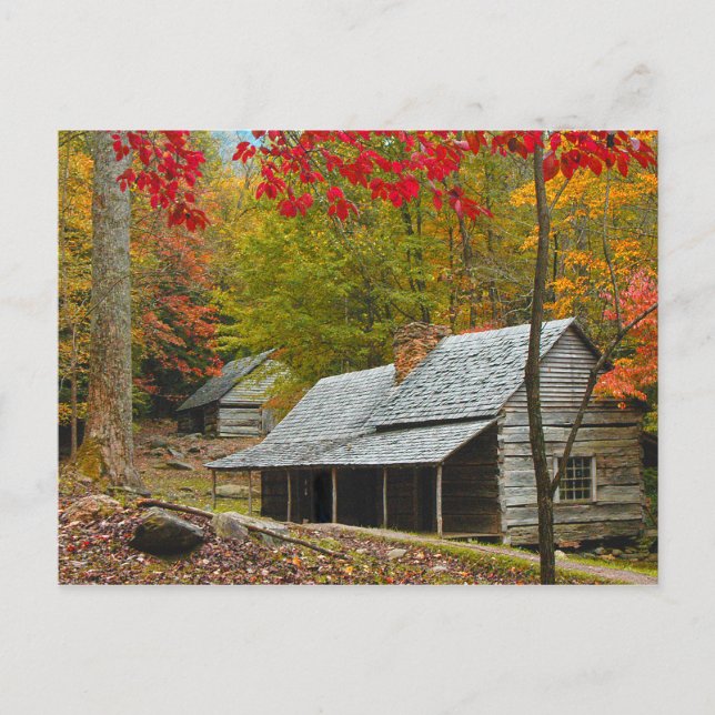 Carte Postale Noah "Bud" Ogle Cabine dans les Smokies (Devant)