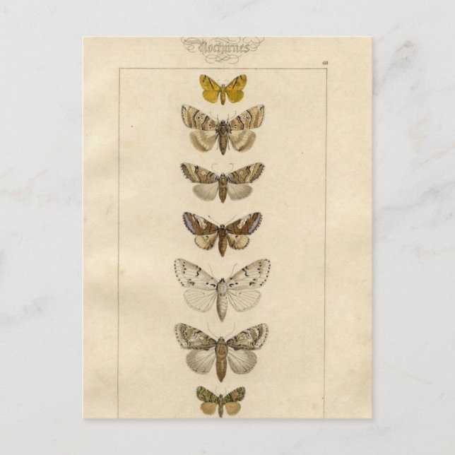 Carte postale Nocturnes (Devant)