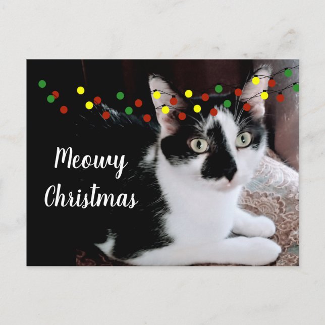 Carte Postale Noël (Devant)