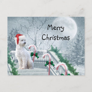 Carte Postale Noël aux canicules blanches