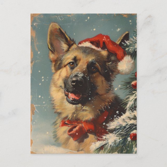 Carte Postale Noël berger allemand (Devant)