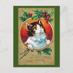 Carte Postale Noël, Chat de Noël
