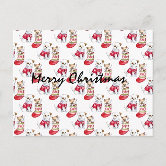 Carte Postale Noel Chien & Chat Stockings (Devant)