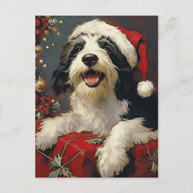 Carte Postale Noël de Collie barrée (Devant)