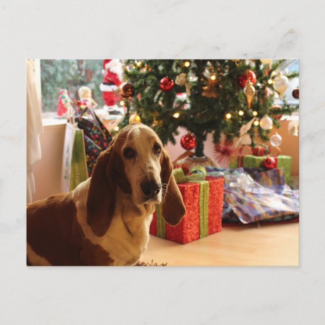 Carte Postale Noël de la ferme Basset (Devant)