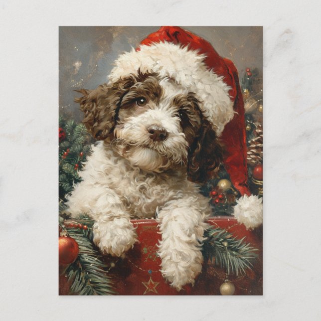 Carte Postale Noël de Lagotto Romagnolo (Devant)