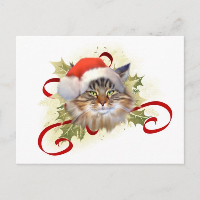 Carte postale Noël du chat Maine Coon (Devant)