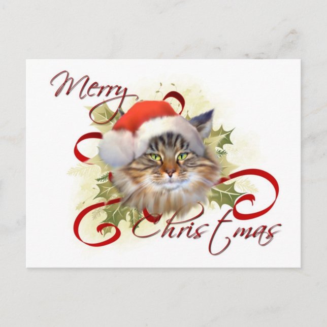 Carte postale Noël du chat Maine Coon (Devant)