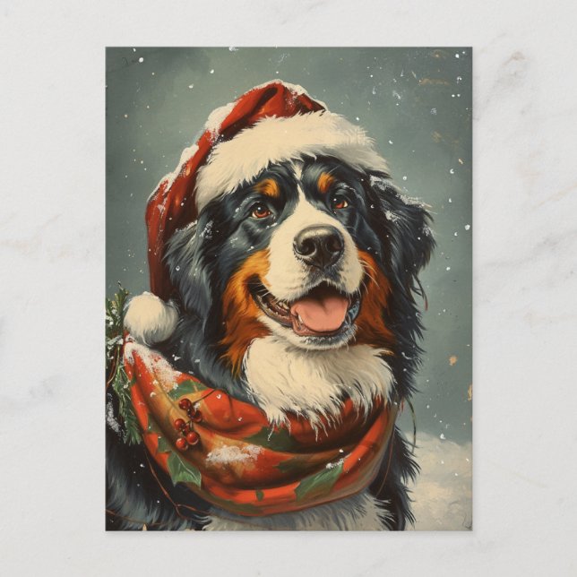 Carte Postale Noël du chien de montagne bernois (Devant)
