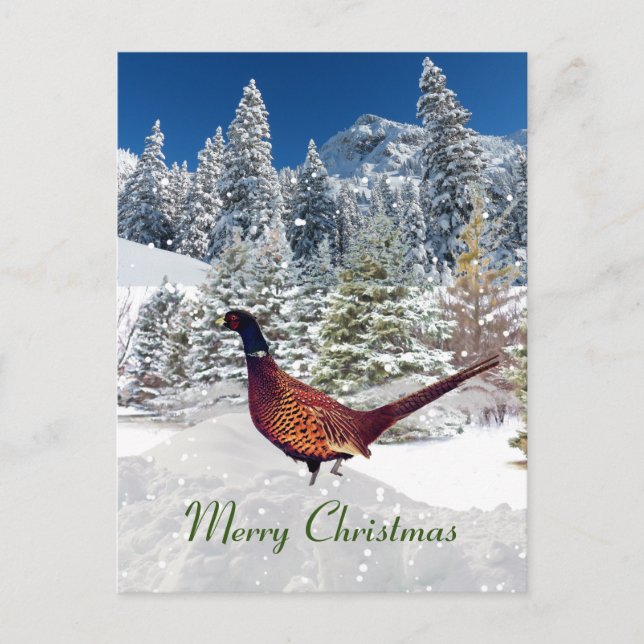 Carte Postale Noël du faisan à la ceinture du Dakota du Sud (Devant)