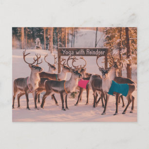 Carte Postale Noël du Yoga Reindee