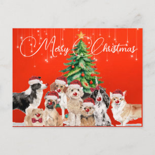 Carte Postale Noël Fêtes Amoureux de les chiens Joyeux Père Noël