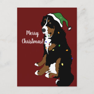 Carte Postale Noël Vacances Bernese Mountain Dog