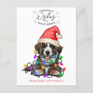 Carte Postale Noël Voeux Chien Chiot Baisers Joli Animal Personn