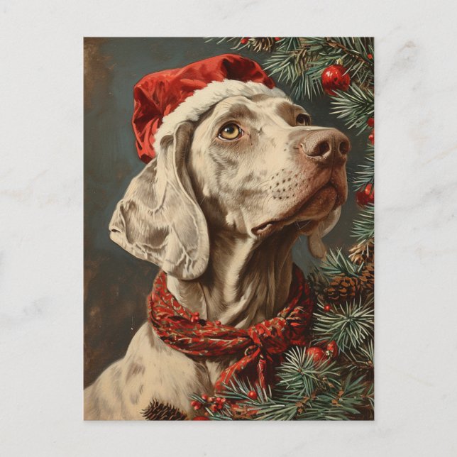 Carte Postale Noël Weimaraner (Devant)
