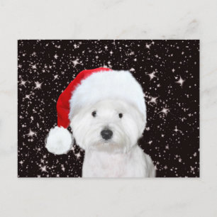 Carte Postale Noël Westie