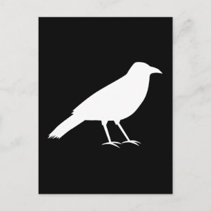 Carte Postale Noir avec un Corbeau Blanc.