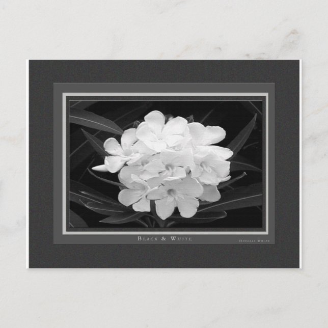 Carte Postale Noir & Blanc (Devant)