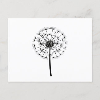 Carte Postale Noir Blanc Dandelion Line Art
