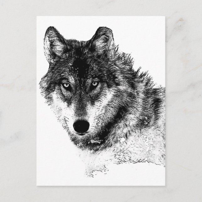 Carte Postale Noir Blanc Inspiration Wolf Eyes (Devant)