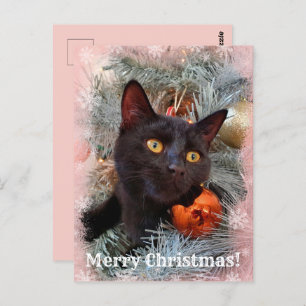 Carte Postale Noir Chat Joyeux Noël