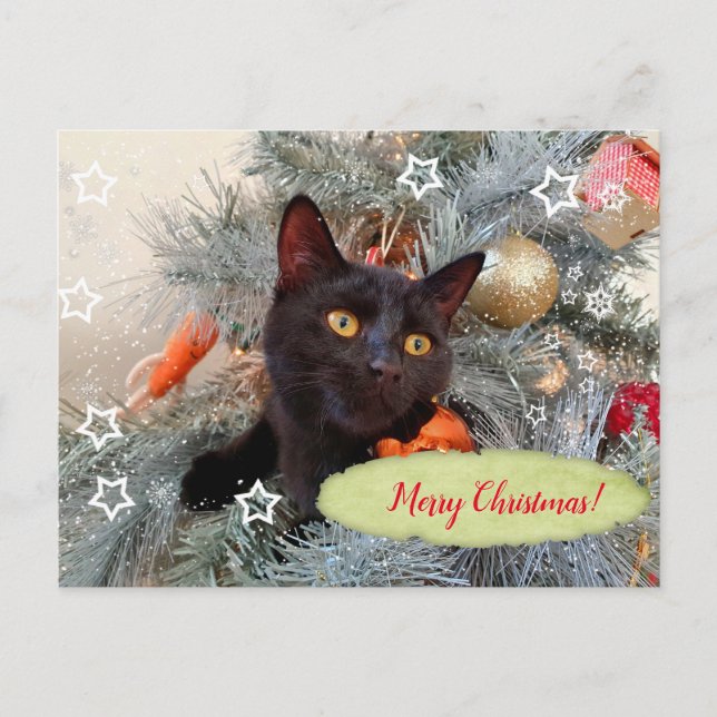 Carte Postale Noir Chat Joyeux Noël (Devant)