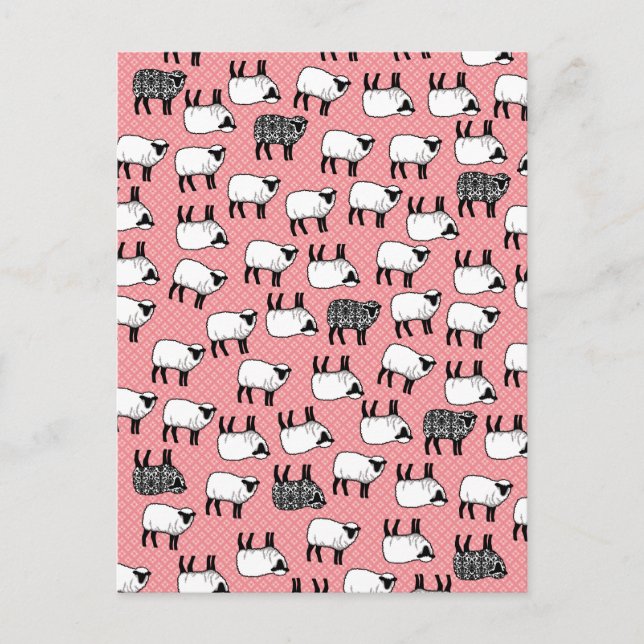 Carte Postale Noir Damask Sheep (Devant)