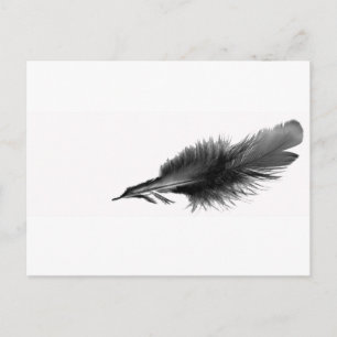 Carte Postale Noir de plume