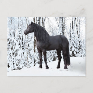 Carte Postale "Noir sur blanc" 