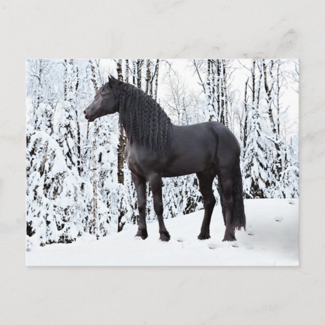 Carte Postale "Noir sur blanc" (Devant)