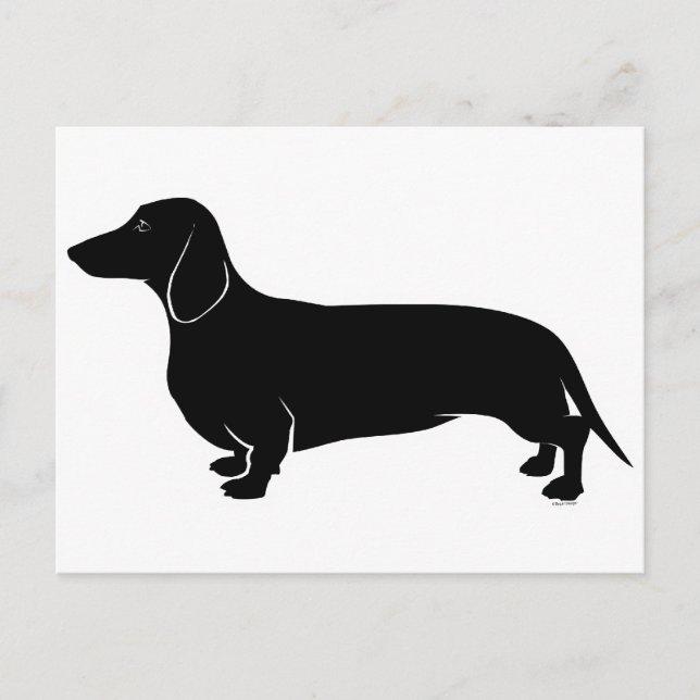 Carte Postale Noir sur blanc Dachsund (Devant)