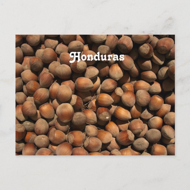 Carte Postale Noisettes (Devant)