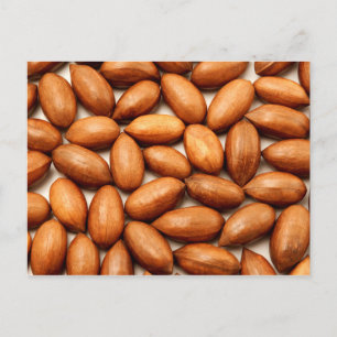 Carte Postale Noix de cacao