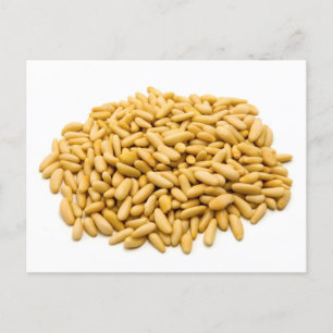 Carte Postale Noix de pin