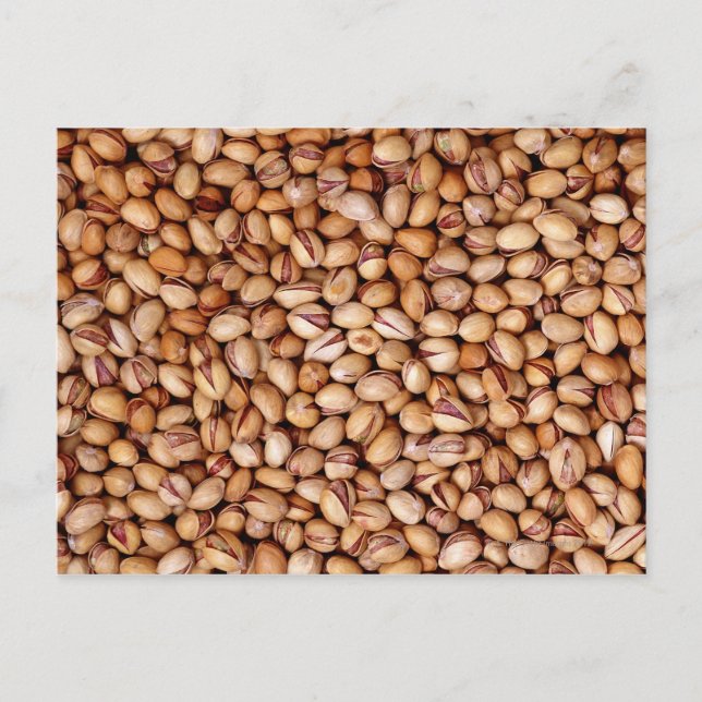 Carte Postale Noix de pistache (Devant)