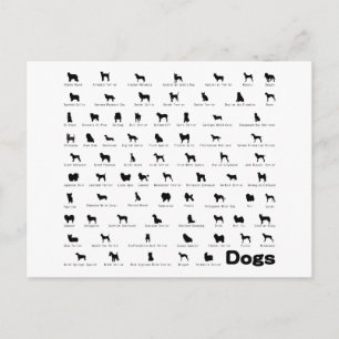 Carte Postale Nom des chiens