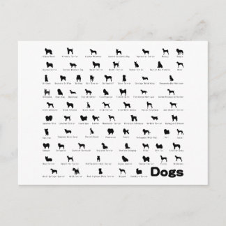 Carte Postale Nom des chiens