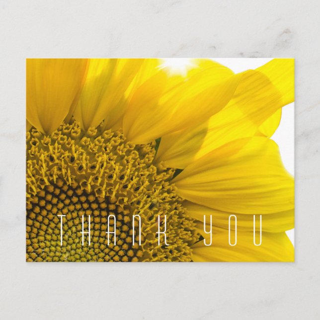 Carte Postale Nom du Merci de tournesol moderne (Devant)