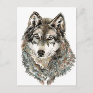 Carte Postale Nom personnalisé ou loup en texte d'aquarelle Anim
